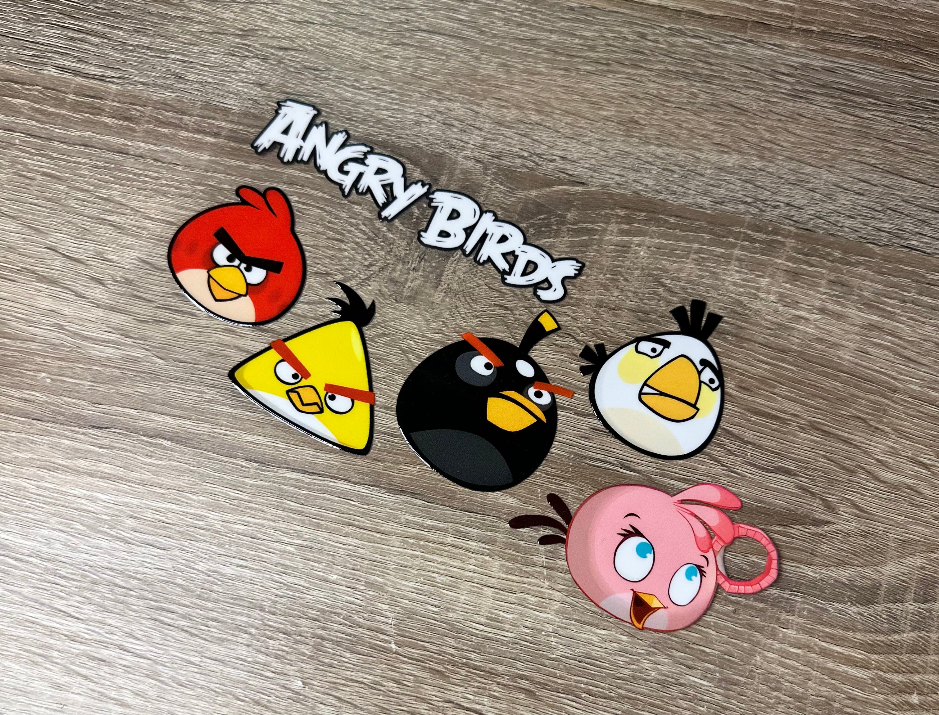 Angry birds 16oz Double sided UV DTF Wrap